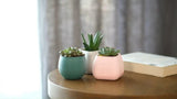 Bloempot Serinova - Set van 4 Stuks - 6x7cm