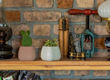 Bloempot Serinova - Set van 4 Stuks - 6x7cm
