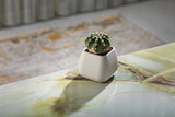 Bloempot Serinova - Set van 4 Stuks - 6x7cm