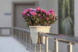 Plantenbak Serinova - 15.5L