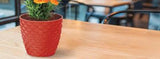 Bloempot Serinova - 5L