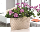 Bloempot Serinova - 5L