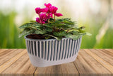 Plantenbak Serinova - Set van 2 Stuks - Antraciet - 51x15cm - 8L
