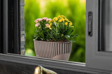 Plantenbak Serinova - Set van 2 Stuks - Antraciet - 51x15cm - 8L