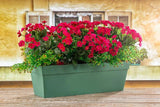 Plantenbak Serinova - Set van 2 Stuks - Antraciet - 52x17cm