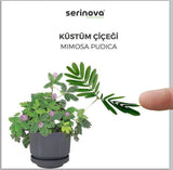 Bloempot Serinova - Luxe - Groen - 23x19cm - 6L