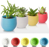 Bloempot Serinova - Set van 6 Stuks - 6cm
