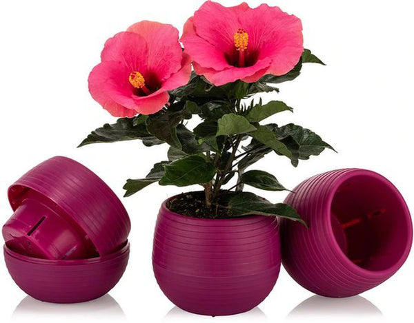 Bloempot Serinova - Set van 6 Stuks - 6cm