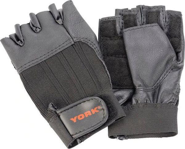 Brace york fitness