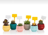 Bloempot Serinova - Set van 6 Stuks - Antraciet - 6,5cm