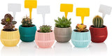 Bloempot Serinova - Set van 6 Stuks - Antraciet - 6,5cm
