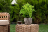 Bloempot Serinova - Set van 5 Stuks - Taupe