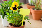 Bloempot Serinova - Set van 5 Stuks - Crème