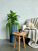 Bloempot De Max - Beige - 70cm