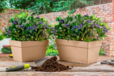 Plantenbak De Max - Set van 2 Stuks - Taupe