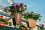 Plantenbak De Max - Taupe - 58x30x24m - 15.5L
