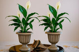 Bloempot De Max - Taupe - 25cm