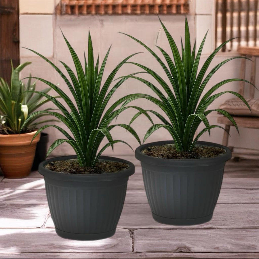 Bloempot De Max - Set van 2 Stuks - Antraciet - 33x25cm