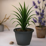 Bloempot De Max - Set van 2 Stuks - Antraciet - 33x25cm