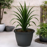 Bloempot De Max - Set van 2 Stuks - Antraciet - 33x25cm