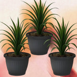 Bloempot De Max - Set van 3 Stuks - Antraciet