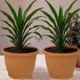 Bloempot De Max - Set van 2 Stuks - Antraciet - 33x25cm