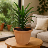 Bloempot De Max - Set van 3 Stuks