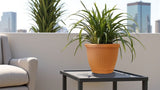 Bloempot De Max - Set van 3 Stuks
