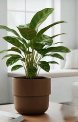 Bloempot De Max - Taupe