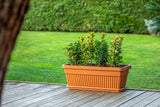 Plantenbak De Max - Kunststof - 60x25cm - 22L