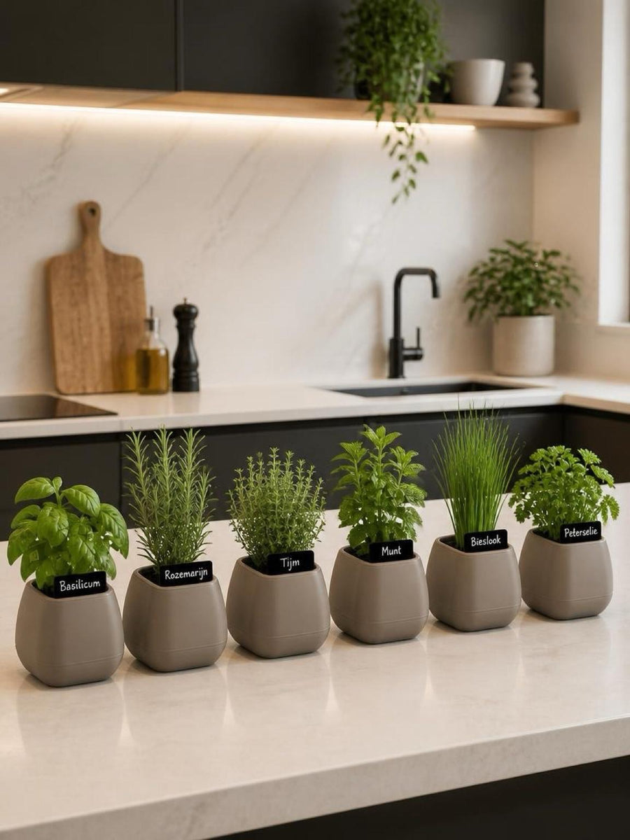 Serinova Bloempot Set 6 Stuks - Vierkante Kruidenpotjes En Cactuspotjes - Taupe Mokka Beige - Met Wateropvang - Gerecyclede Kunststof - Indoor En Outdoor