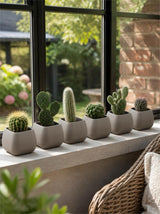 Serinova Bloempot Set 6 Stuks - Vierkante Kruidenpotjes En Cactuspotjes - Taupe Mokka Beige - Met Wateropvang - Gerecyclede Kunststof - Indoor En Outdoor